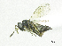  ( - SMNS_38055)  @11 [ ] CreativeCommons  Attribution Share-Alike (by-sa) (2020) State Museum of Natural History Stuttgart State Museum of Natural History Stuttgart