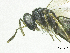  ( - SMNS_38055)  @11 [ ] CreativeCommons  Attribution Share-Alike (by-sa) (2020) State Museum of Natural History Stuttgart State Museum of Natural History Stuttgart