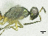  ( - SMNS_38067)  @11 [ ] CreativeCommons  Attribution Share-Alike (by-sa) (2020) State Museum of Natural History Stuttgart State Museum of Natural History Stuttgart