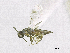  ( - SMNS_38087)  @11 [ ] CreativeCommons  Attribution Share-Alike (by-sa) (2020) State Museum of Natural History Stuttgart State Museum of Natural History Stuttgart