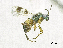  ( - SMNS_38092)  @11 [ ] CreativeCommons  Attribution Share-Alike (by-sa) (2020) State Museum of Natural History Stuttgart State Museum of Natural History Stuttgart