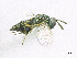  ( - SMNS_38119)  @11 [ ] CreativeCommons  Attribution Share-Alike (by-sa) (2020) State Museum of Natural History Stuttgart State Museum of Natural History Stuttgart