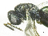  ( - SMNS_38189)  @11 [ ] CreativeCommons  Attribution Share-Alike (by-sa) (2020) State Museum of Natural History Stuttgart State Museum of Natural History Stuttgart