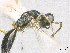  ( - SMNS_38331)  @11 [ ] CreativeCommons  Attribution Share-Alike (by-sa) (2020) State Museum of Natural History Stuttgart State Museum of Natural History Stuttgart