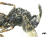  ( - SMNS_38415)  @11 [ ] CreativeCommons  Attribution Share-Alike (by-sa) (2020) State Museum of Natural History Stuttgart State Museum of Natural History Stuttgart