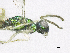  ( - SMNS_38419)  @11 [ ] CreativeCommons  Attribution Share-Alike (by-sa) (2020) State Museum of Natural History Stuttgart State Museum of Natural History Stuttgart