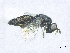  ( - SMNS_38848)  @11 [ ] CreativeCommons  Attribution Share-Alike (by-sa) (2020) State Museum of Natural History Stuttgart State Museum of Natural History Stuttgart