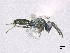  ( - SMNS_38857)  @11 [ ] CreativeCommons  Attribution Share-Alike (by-sa) (2020) State Museum of Natural History Stuttgart State Museum of Natural History Stuttgart