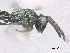  ( - SMNS_38857)  @11 [ ] CreativeCommons  Attribution Share-Alike (by-sa) (2020) State Museum of Natural History Stuttgart State Museum of Natural History Stuttgart