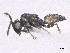  ( - SMNS_38991)  @11 [ ] CreativeCommons  Attribution Share-Alike (by-sa) (2020) State Museum of Natural History Stuttgart State Museum of Natural History Stuttgart