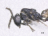  ( - SMNS_38991)  @11 [ ] CreativeCommons  Attribution Share-Alike (by-sa) (2020) State Museum of Natural History Stuttgart State Museum of Natural History Stuttgart
