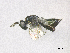  ( - SMNS_39104)  @11 [ ] CreativeCommons  Attribution Share-Alike (by-sa) (2020) State Museum of Natural History Stuttgart State Museum of Natural History Stuttgart
