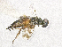  ( - SMNS_39163)  @11 [ ] CreativeCommons  Attribution Share-Alike (by-sa) (2020) State Museum of Natural History Stuttgart State Museum of Natural History Stuttgart