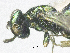 ( - SMNS_39233)  @11 [ ] CreativeCommons  Attribution Share-Alike (by-sa) (2020) State Museum of Natural History Stuttgart State Museum of Natural History Stuttgart