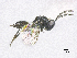  ( - SMNS_39294)  @11 [ ] CreativeCommons  Attribution Share-Alike (by-sa) (2020) State Museum of Natural History Stuttgart State Museum of Natural History Stuttgart