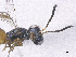  ( - SMNS_39533)  @11 [ ] CreativeCommons  Attribution Share-Alike (by-sa) (2020) State Museum of Natural History Stuttgart State Museum of Natural History Stuttgart