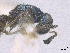  ( - SMNS_39916)  @11 [ ] CreativeCommons  Attribution Share-Alike (by-sa) (2020) State Museum of Natural History Stuttgart State Museum of Natural History Stuttgart