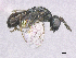  ( - SMNS_39945)  @11 [ ] CreativeCommons  Attribution Share-Alike (by-sa) (2020) State Museum of Natural History Stuttgart State Museum of Natural History Stuttgart