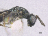  ( - SMNS_39945)  @11 [ ] CreativeCommons  Attribution Share-Alike (by-sa) (2020) State Museum of Natural History Stuttgart State Museum of Natural History Stuttgart