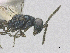  ( - SMNS_39976)  @11 [ ] CreativeCommons  Attribution Share-Alike (by-sa) (2020) State Museum of Natural History Stuttgart State Museum of Natural History Stuttgart
