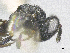  ( - SMNS_40080)  @11 [ ] CreativeCommons  Attribution Share-Alike (by-sa) (2020) State Museum of Natural History Stuttgart State Museum of Natural History Stuttgart