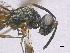  ( - SMNS_40135)  @11 [ ] CreativeCommons  Attribution Share-Alike (by-sa) (2020) State Museum of Natural History Stuttgart State Museum of Natural History Stuttgart