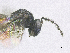 ( - SMNS_40299)  @11 [ ] CreativeCommons  Attribution Share-Alike (by-sa) (2020) State Museum of Natural History Stuttgart State Museum of Natural History Stuttgart