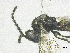  ( - SMNS_40311)  @11 [ ] CreativeCommons  Attribution Share-Alike (by-sa) (2020) State Museum of Natural History Stuttgart State Museum of Natural History Stuttgart