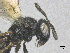  ( - SMNS_40399)  @11 [ ] CreativeCommons  Attribution Share-Alike (by-sa) (2020) State Museum of Natural History Stuttgart State Museum of Natural History Stuttgart