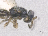  ( - SMNS_41033)  @11 [ ] CreativeCommons  Attribution Share-Alike (by-sa) (2020) State Museum of Natural History Stuttgart State Museum of Natural History Stuttgart