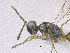  ( - SMNS_41803)  @11 [ ] CreativeCommons  Attribution Share-Alike (by-sa) (2020) State Museum of Natural History Stuttgart State Museum of Natural History Stuttgart