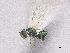  ( - SMNS_41884)  @11 [ ] CreativeCommons  Attribution Share-Alike (by-sa) (2020) State Museum of Natural History Stuttgart State Museum of Natural History Stuttgart
