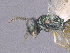  ( - SMNS_41898)  @11 [ ] CreativeCommons  Attribution Share-Alike (by-sa) (2020) State Museum of Natural History Stuttgart State Museum of Natural History Stuttgart