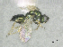  ( - SMNS_41918)  @11 [ ] CreativeCommons  Attribution Share-Alike (by-sa) (2020) State Museum of Natural History Stuttgart State Museum of Natural History Stuttgart