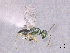  ( - SMNS_41959)  @11 [ ] CreativeCommons  Attribution Share-Alike (by-sa) (2020) State Museum of Natural History Stuttgart State Museum of Natural History Stuttgart
