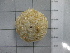  ( - SeaMP_SB125)  @11 [ ] Unspecified (default): All Rights Reserved (2022) Unspecified Unspecified