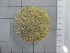  ( - SeaMP_SB179)  @11 [ ] Unspecified (default): All Rights Reserved (2022) Unspecified Unspecified
