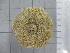  ( - SeaMP_SB179)  @11 [ ] Unspecified (default): All Rights Reserved (2022) Unspecified Unspecified
