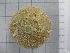  ( - SeaMP_SB180)  @11 [ ] Unspecified (default): All Rights Reserved (2022) Unspecified Unspecified
