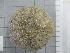  ( - SeaMP_SB202)  @11 [ ] Unspecified (default): All Rights Reserved (2022) Unspecified Unspecified