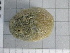  ( - SeaMP_SB204)  @11 [ ] Unspecified (default): All Rights Reserved (2022) Unspecified Unspecified