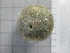  ( - SeaMP_SB204)  @11 [ ] Unspecified (default): All Rights Reserved (2022) Unspecified Unspecified