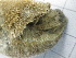  ( - SeaMP_SB205)  @11 [ ] Unspecified (default): All Rights Reserved (2022) Unspecified Unspecified