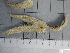  ( - SeaMP_SB210)  @11 [ ] Unspecified (default): All Rights Reserved (2022) Unspecified Unspecified