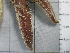  ( - SeaMP_SB210)  @11 [ ] Unspecified (default): All Rights Reserved (2022) Unspecified Unspecified