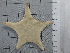  (Cladaster - SeaMP_SB220)  @11 [ ] Unspecified (default): All Rights Reserved (2022) Unspecified Unspecified
