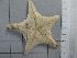  ( - SeaMP_SB220)  @11 [ ] Unspecified (default): All Rights Reserved (2022) Unspecified Unspecified