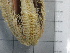  ( - SeaMP_SB228)  @11 [ ] Unspecified (default): All Rights Reserved (2022) Unspecified Unspecified
