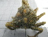  ( - SeaMP_SB237)  @11 [ ] Unspecified (default): All Rights Reserved (2022) Unspecified Unspecified