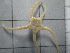  ( - SeaMP_SB266)  @11 [ ] Unspecified (default): All Rights Reserved (2023) Unspecified Unspecified
